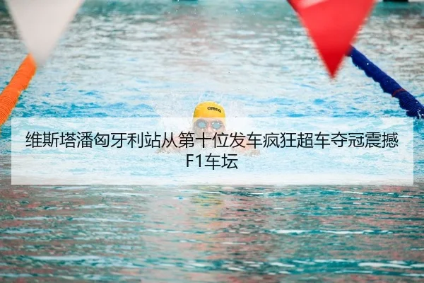 wei-si-ta-pan-xiong-ya-li-zhan-cong-di-shi-wei-fa-che-feng-kuang-chao-che-duo-guan-zhen-han-che-tan-2-634.jpg